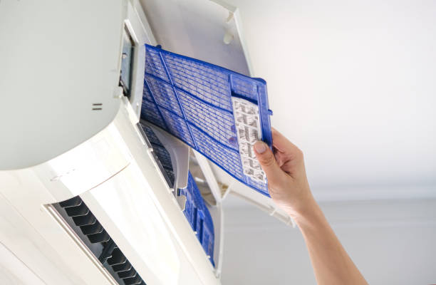 Best Air Duct Mold Removal  in Blythewood, SC